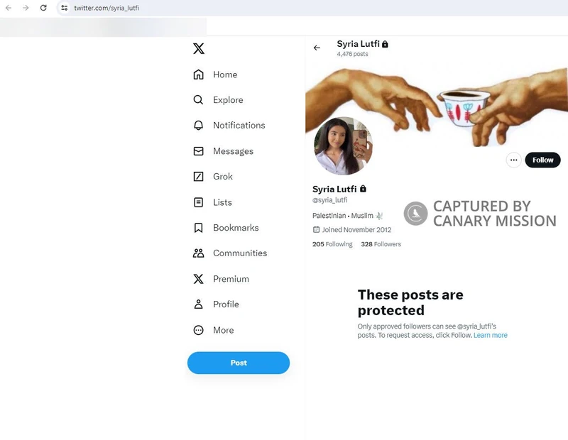 Syria Lutfi cm10 Twitter_#22