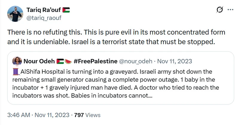 Tariq Ra'ouf_#2