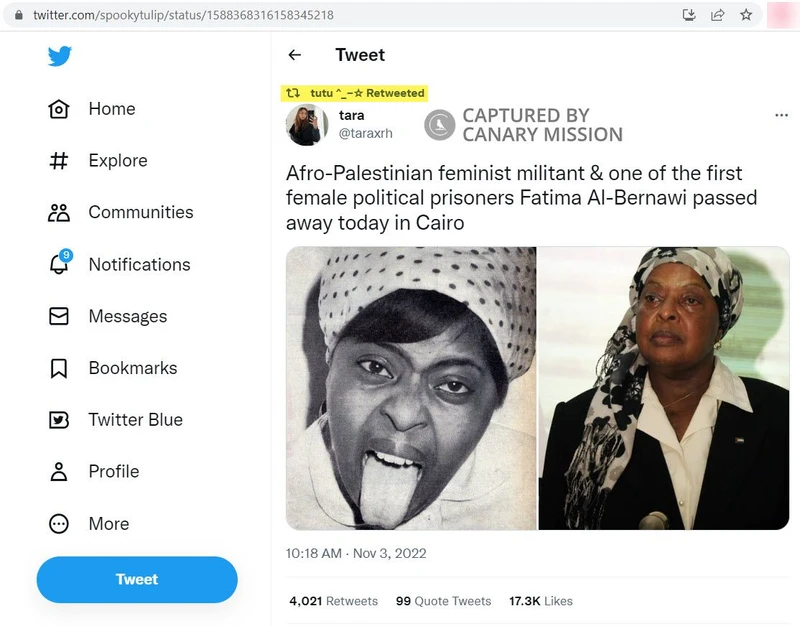 Toleen Abdulhamid cm07 Twitter_#6