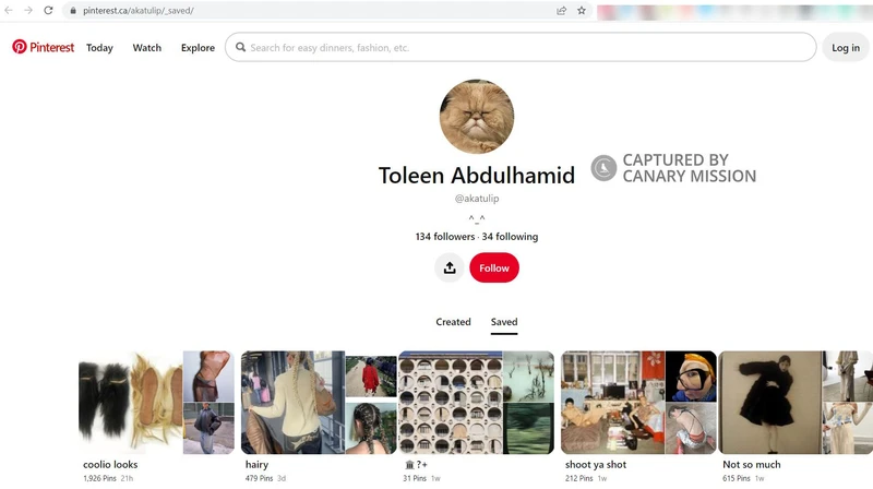 Toleen Abdulhamid cm44 Pinterest_#45