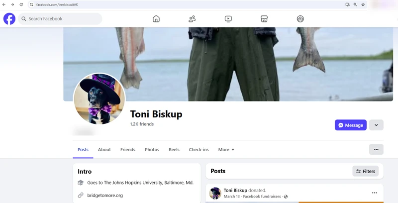 Toni Biskup_#9
