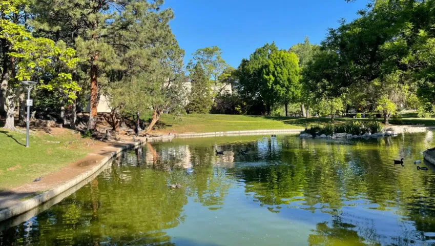UNM-Duck-Pond.jpg