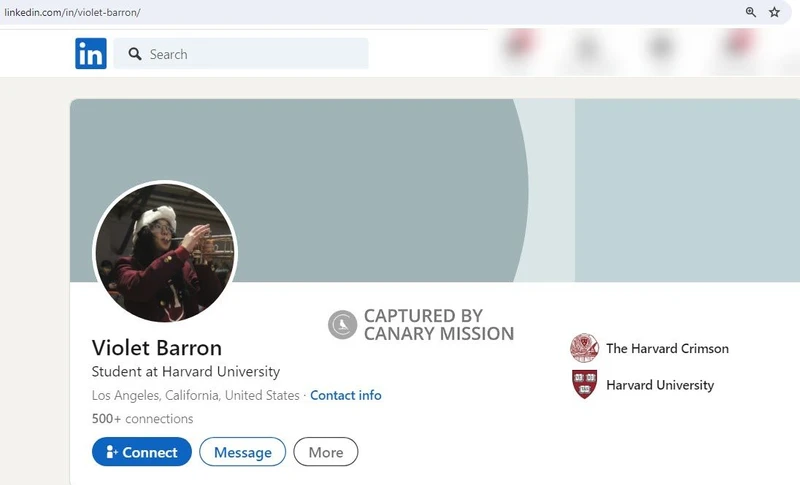 Violet Barron cm09 LinkedIn_#10