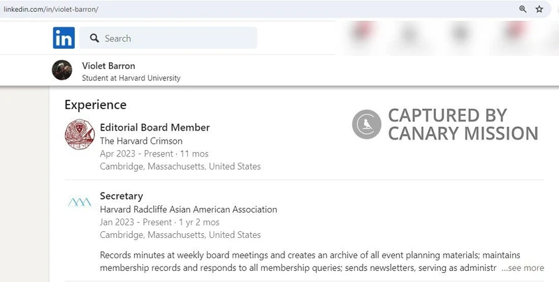 Violet Barron cm10 LinkedIn_#11