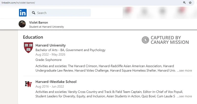 Violet Barron cm11 LinkedIn_#12