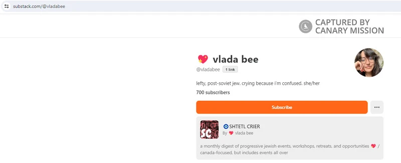 Vlada Bee_#7
