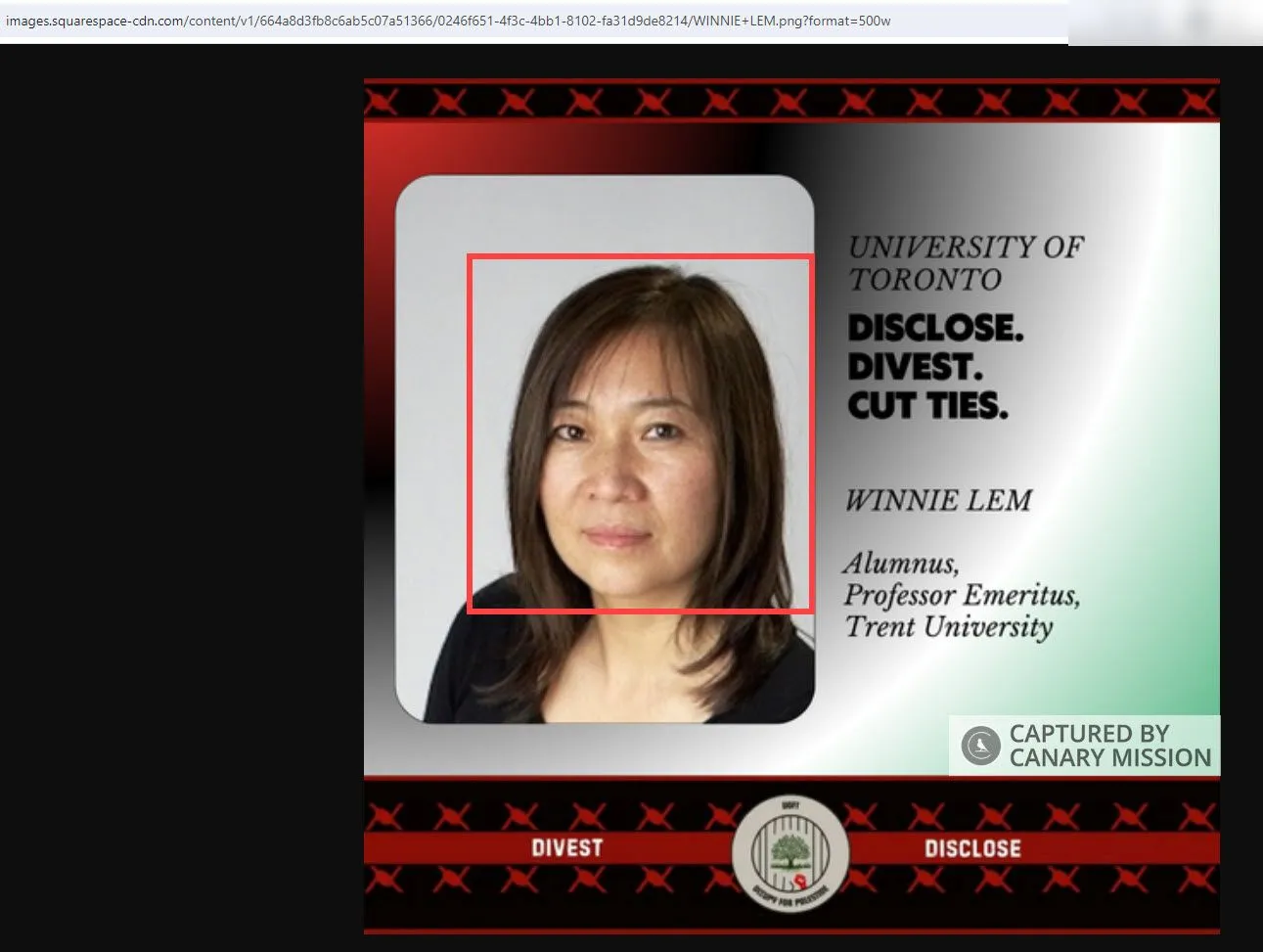 Winnie Lem  - images.squarespace-cdn.com - Jul 21, 2024