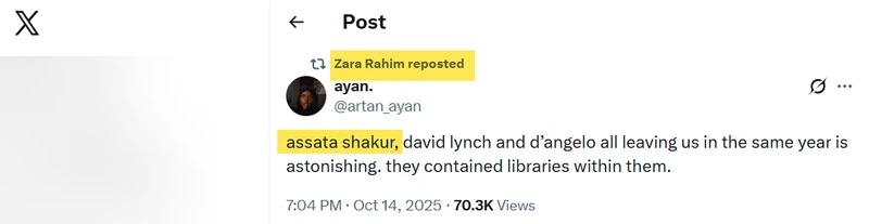 Zara Rahim_#1