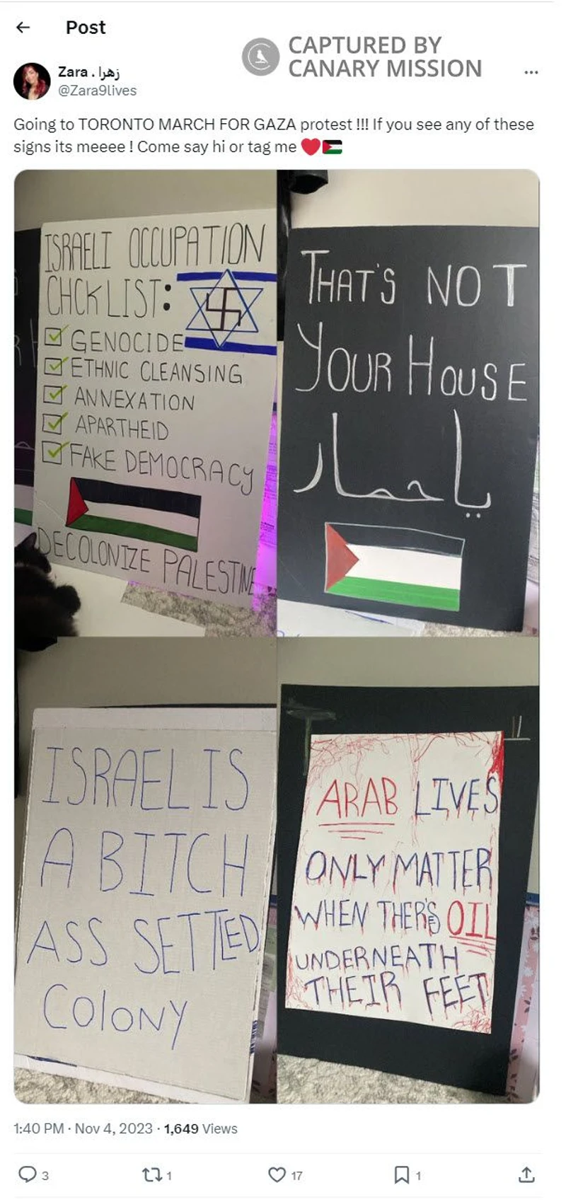 Zara Sarraf cm10 X_#10