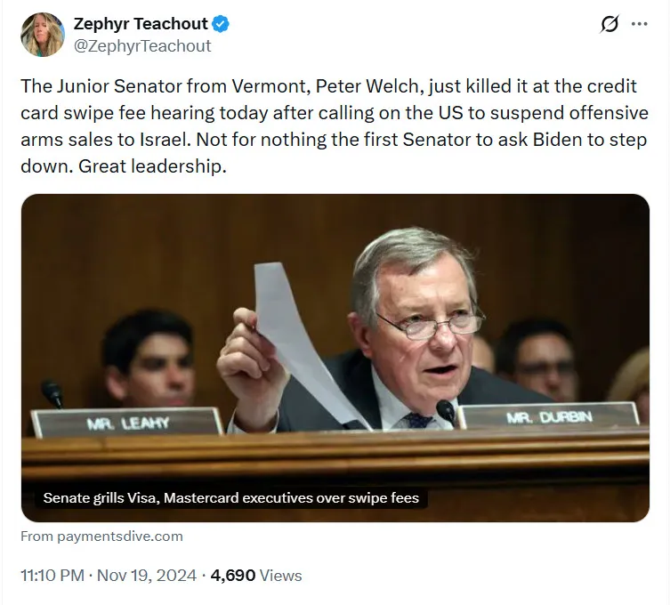 Zephyr Teachout_#8