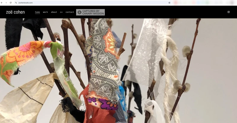 Zoe_Cohen_Jan_6_2025_zcohenstudio.com_#12