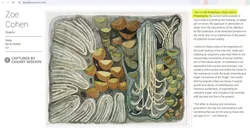 Zoe_Cohen_Jan_6_2025_zoecohen.com