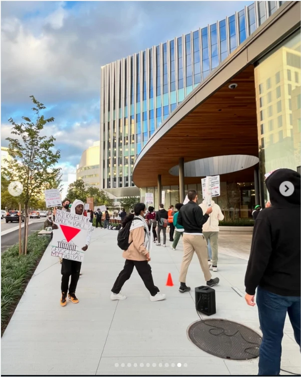 anntonellissima (Ragon Inst. Picket)