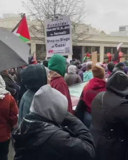 322024 Hands Off Rafah Ceasefire Now Stop The Genocide