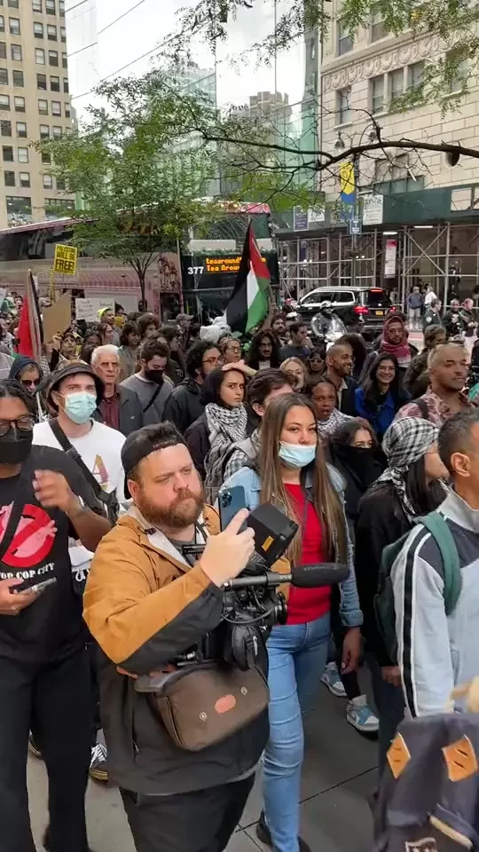 All Out For Palestine 3