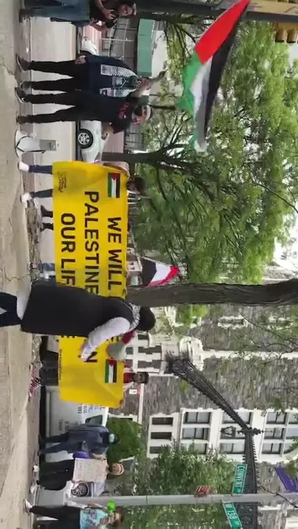 CCNY SJP rally on CCNY campus Instagram_#22