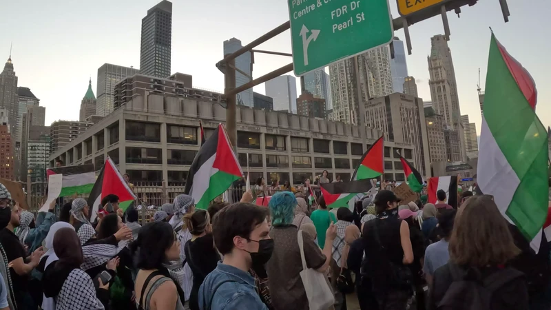 Flood_Brooklyn_For_Gaza_3__youtube.webm