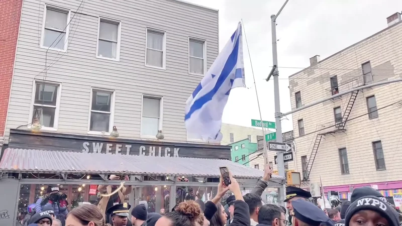 Flood_Brooklyn_For_Gaza_4__youtube