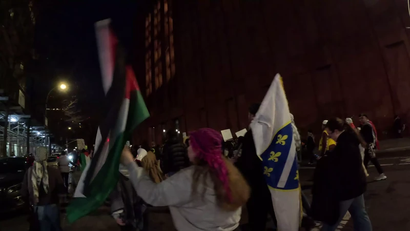 Flood_Brooklyn_For_Gaza_5__youtube.webm