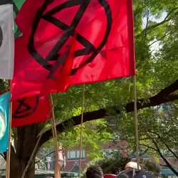 Flood New York City For Gaza 2