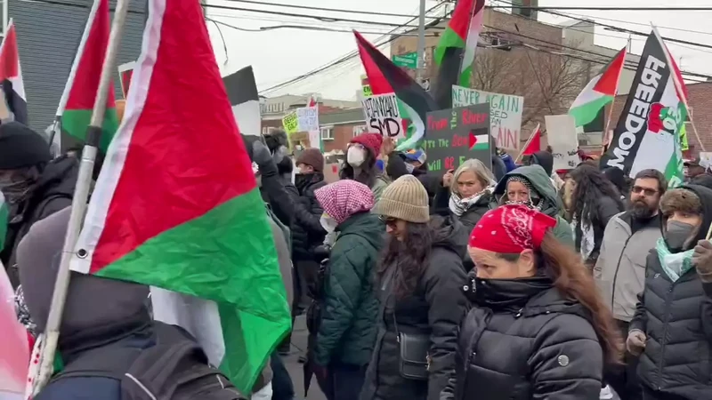 Flood The Bronx For Gaza 2