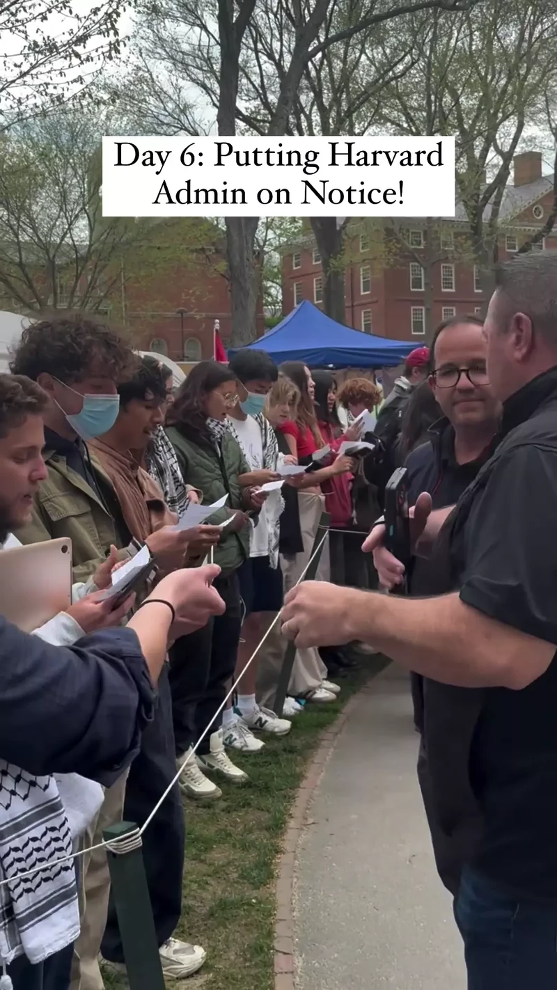 Harvard Encampment Video Instagram_#17