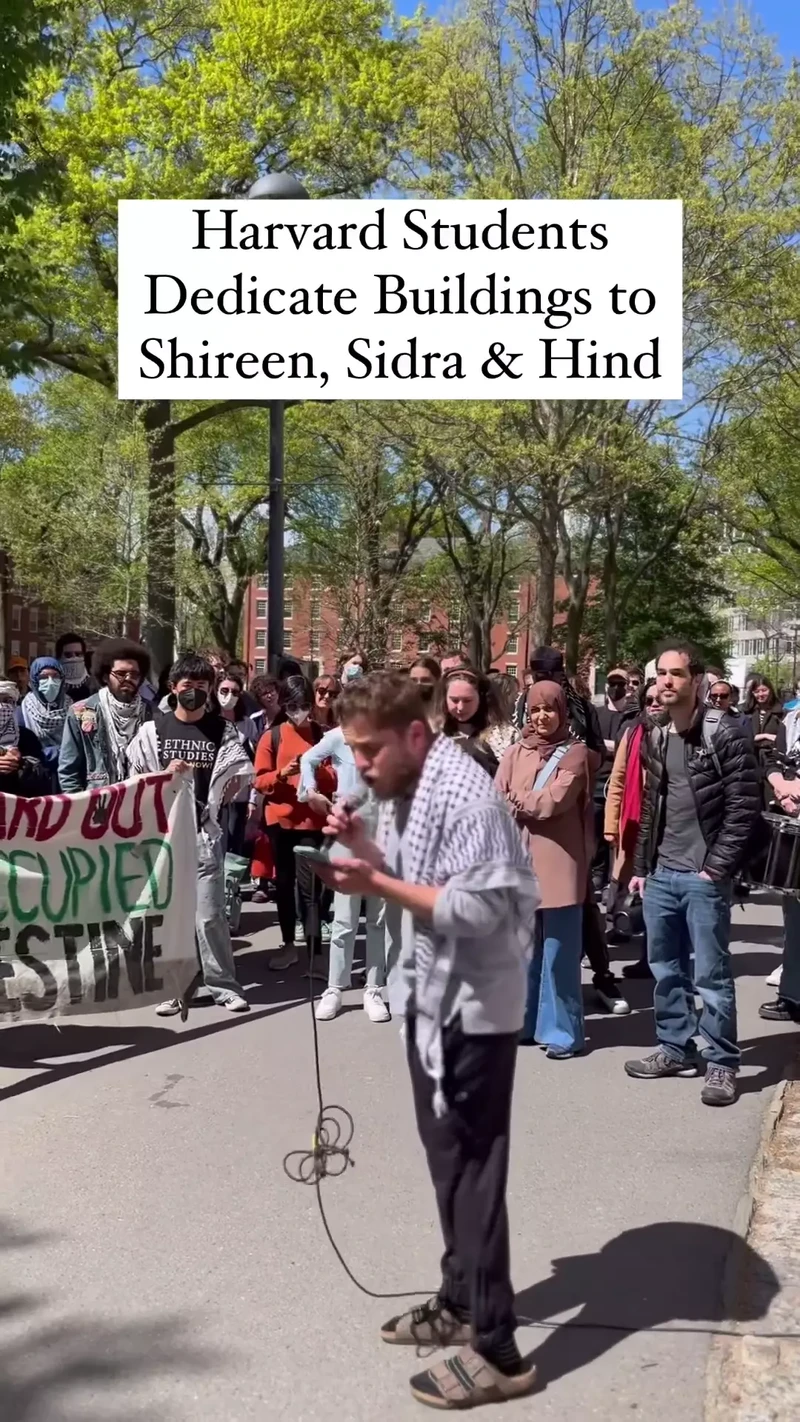 Harvard Encampment Video Instagram_#18