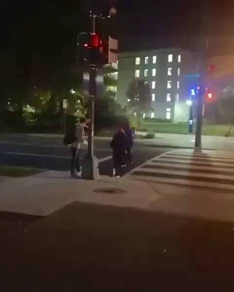 Isabella Panteledes Rips Down Posters of Israeli Civilians Kidnapped by Hamas American University Washington DC Instagram_#8