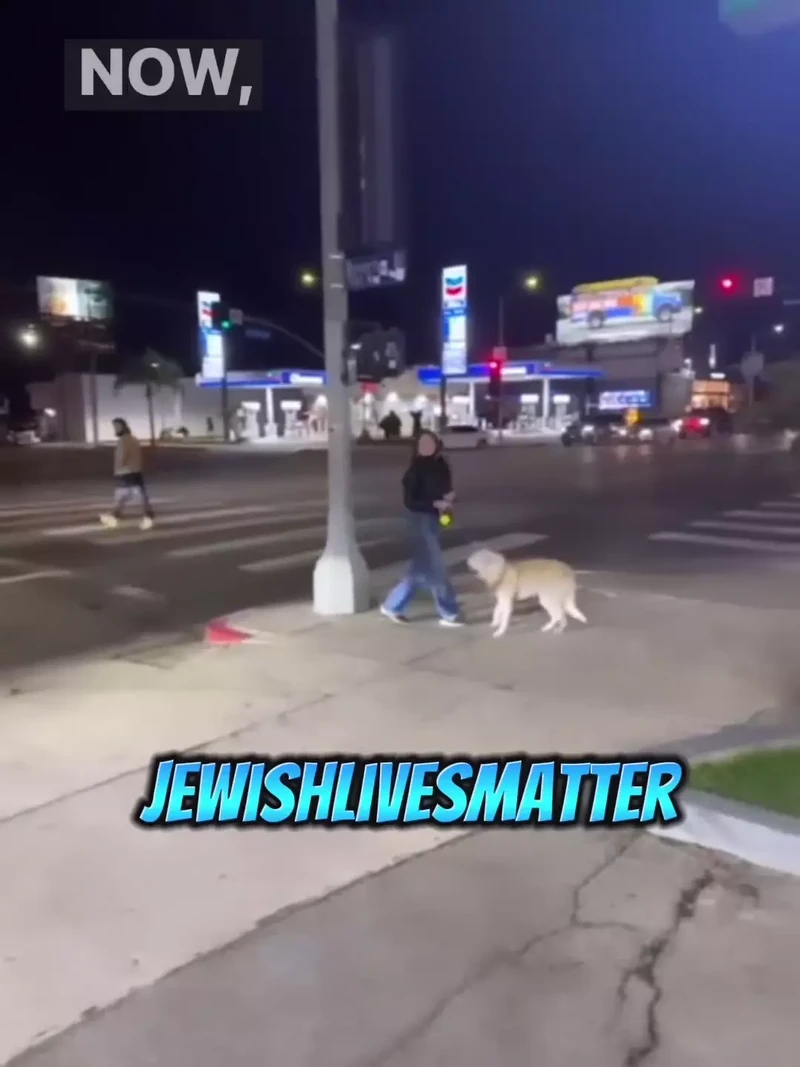 Olya Tizer Rips Down Posters of Israeli Civilians Kidnapped by Hamas Los Angeles California Instagram_#11