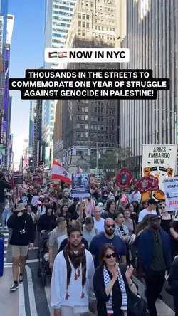 One Year Of Genocide One Year Of Resistance