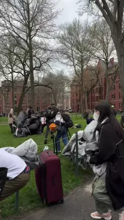 Prohamas Harvard Encampment 4242024