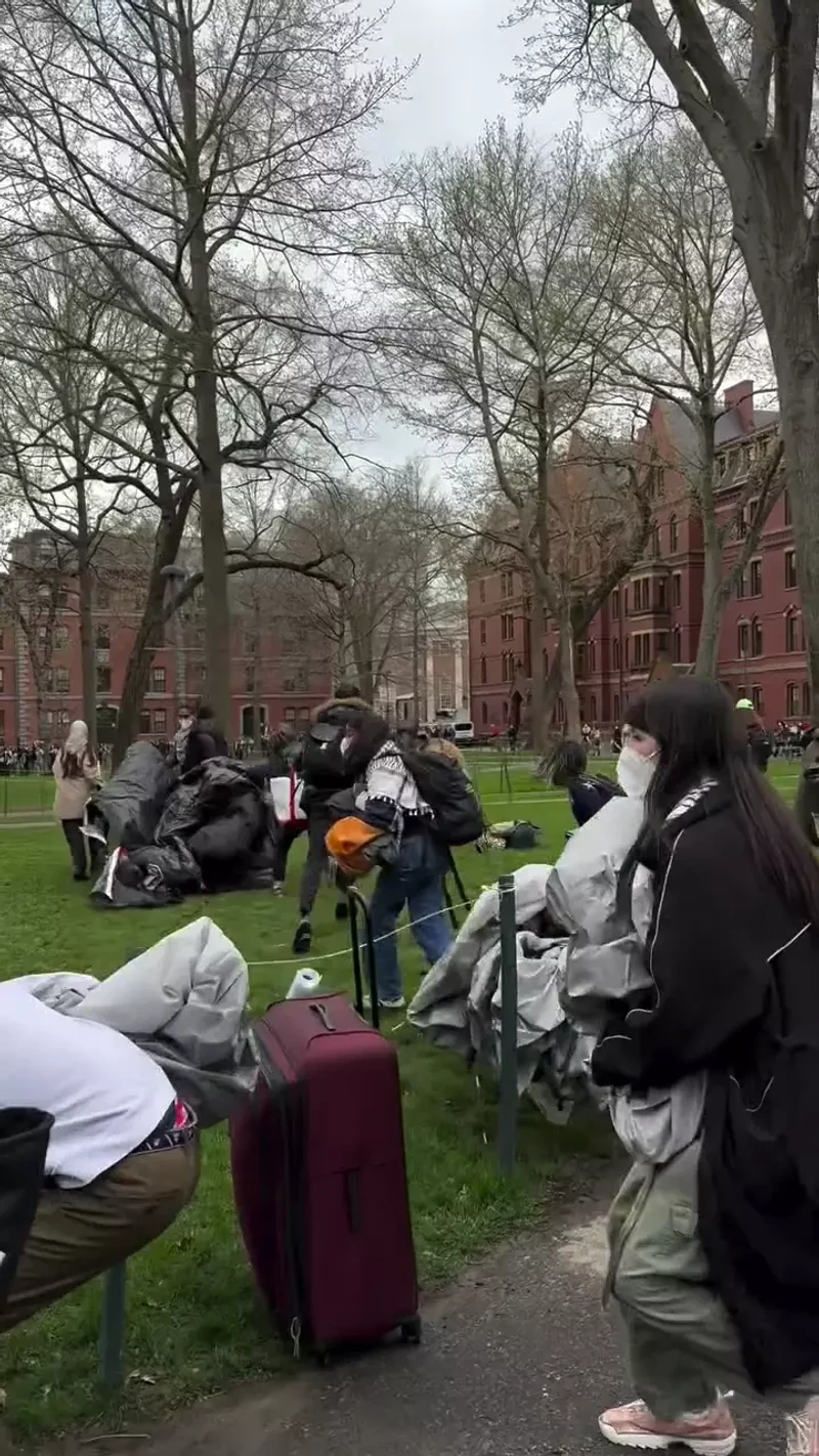 Prohamas Harvard Encampment 4242024