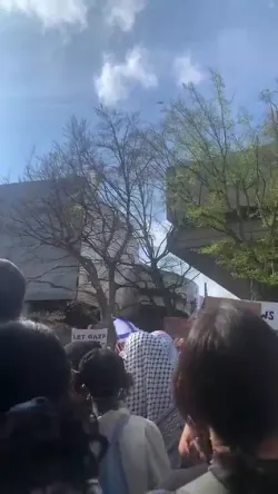 Prohamas Mit Encampment 562024