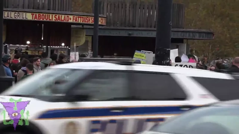 Rally for Palestine YouTube_#43