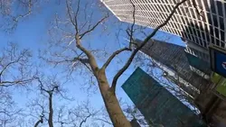 Schools_Out_For_Palestine_Student_Walkout_And_Rally_2__youtube