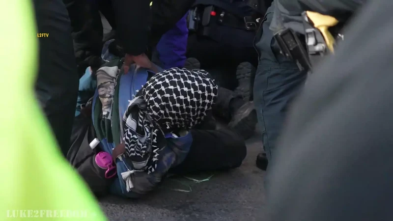 Schools_Out_For_Palestine_Student_Walkout_And_Rally_2__youtube-3