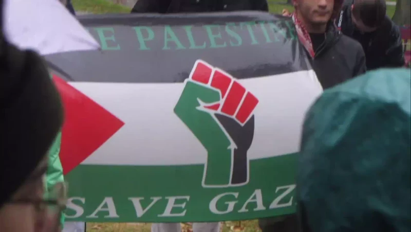 Walkout For Palestine 11212024