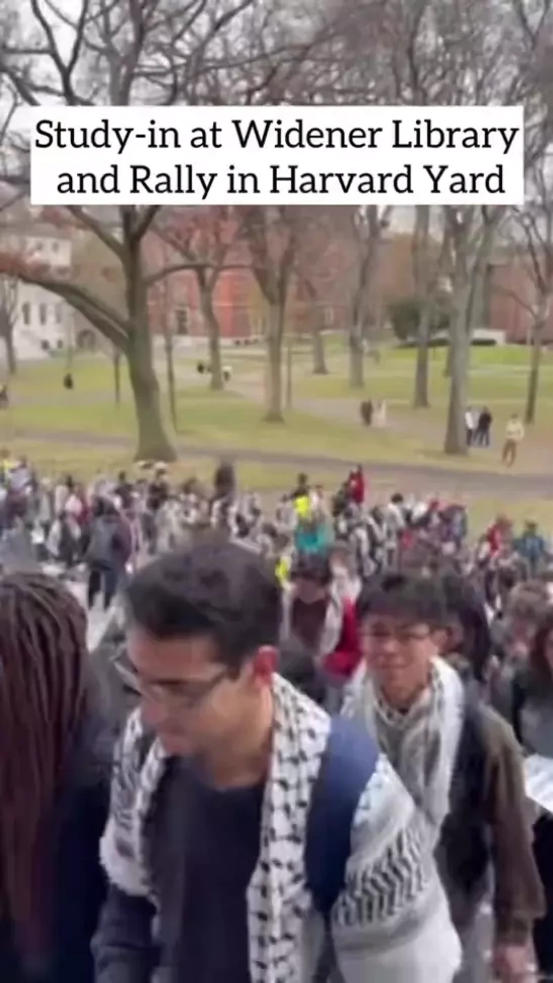 Widener Studyin And Rally In Harvard Yard