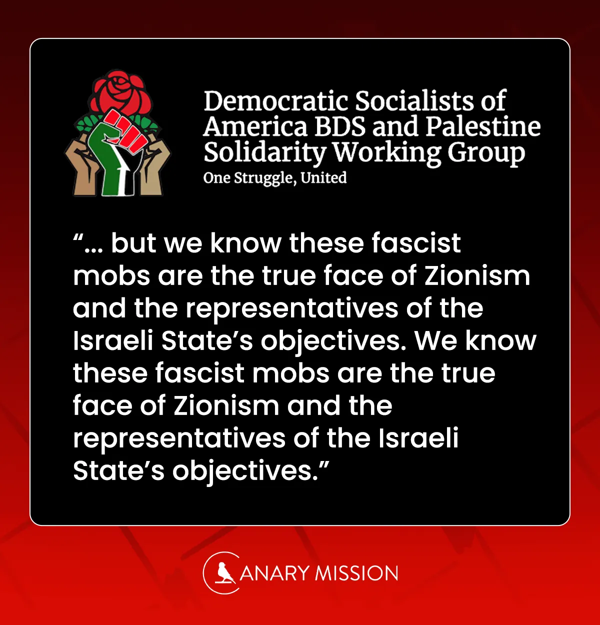 DSA Statement on Zionism