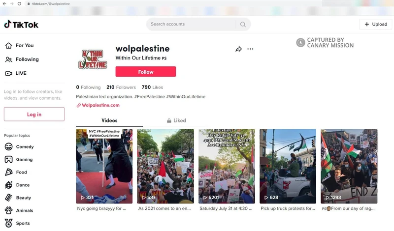 imgi 37 WOL cm29 TikTok_#35