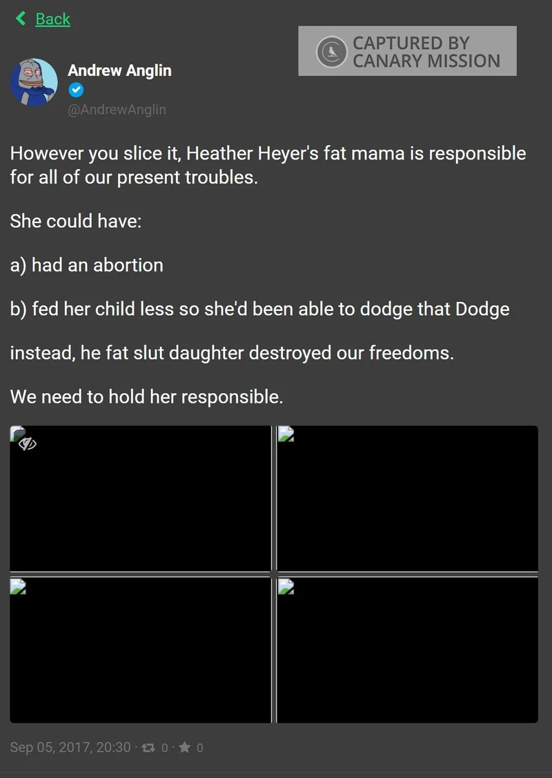 imgi 55 Daily Stormer cm52 Gab.ai_#53