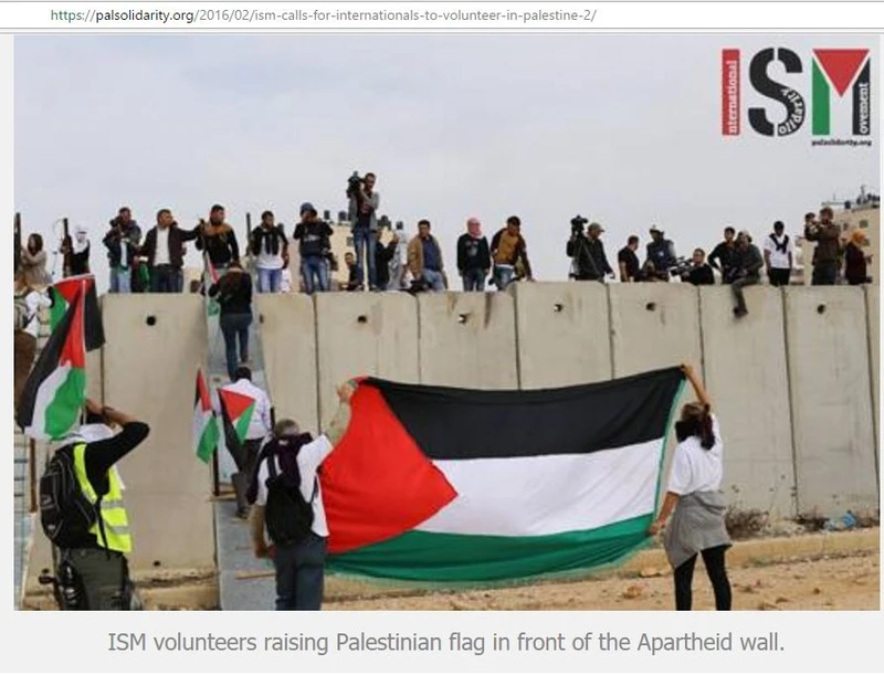 imgi 6 ISM cm05 palsolidarity.org_#4