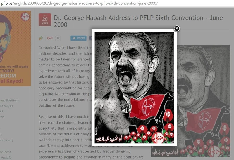 imgi 9 PFLP cm07 pflp.ps_#7