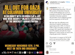 wolpalestine